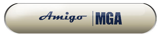 amigo-mga insurance